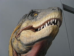 Naturalis_2338394654